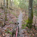 Koomer Ridge Trail